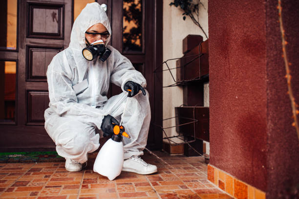 Reliable Bed Bug Control contractor in Fountain Hill, PA by Nex Pest Control